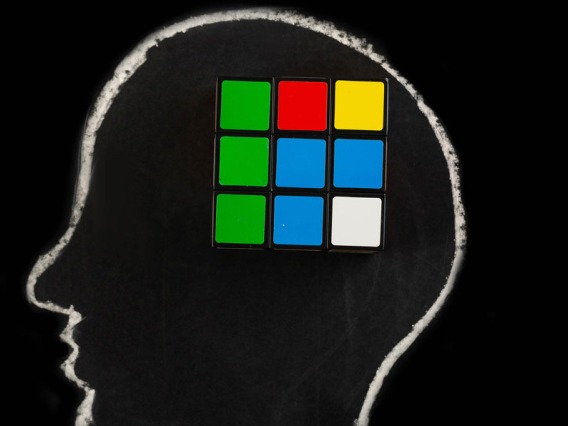 outline of brain with Rubix cube inside